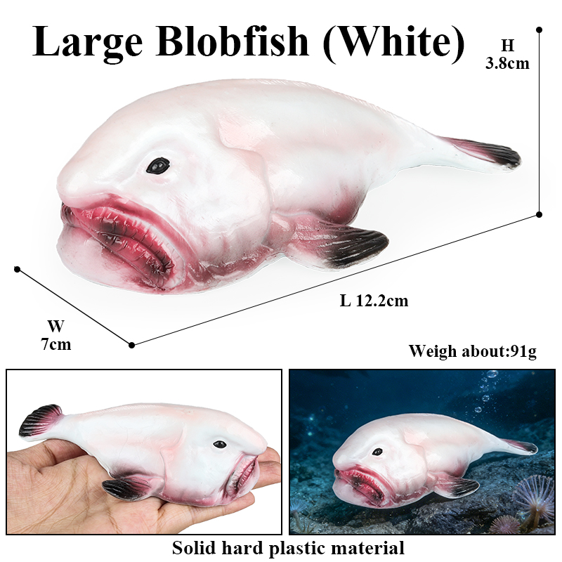 โมเดลปลาบลอฟิช (Blobfish) ของ  - Kids Education In Australia บทวิจารณ์และราคา