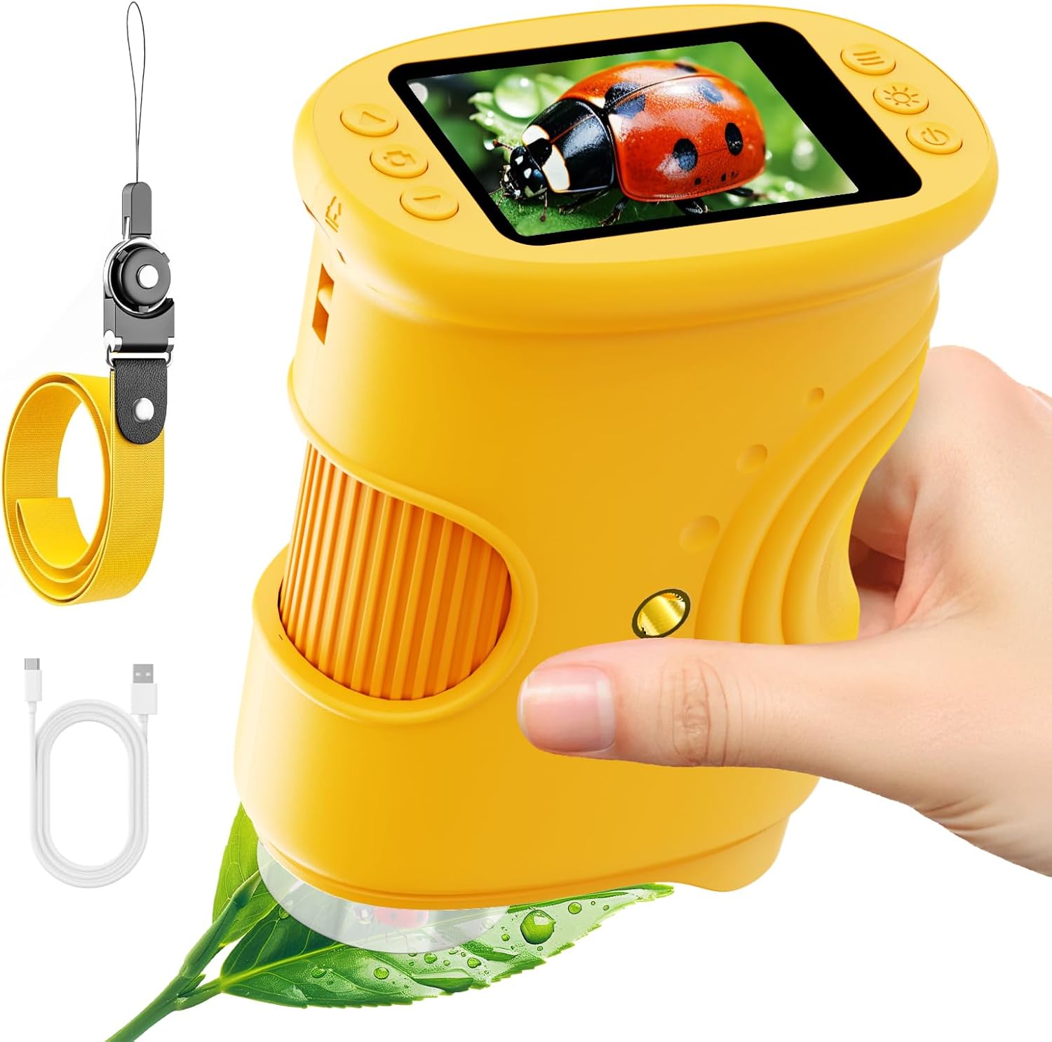 กล้องจุลทรรศน์ดิจิตอลสำหรับเด็ - Kids Definition Of Education บทวิจารณ์และราคา
