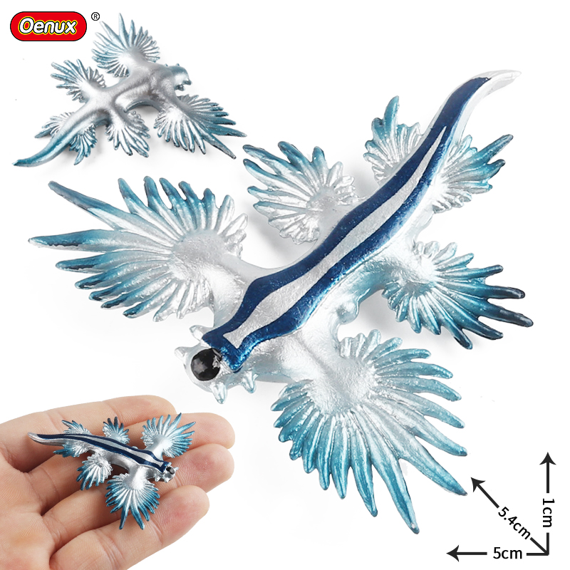 Oenux สัตว์ทะเลปะการัง nautilo - Kids Without Education บทวิจารณ์และราคา