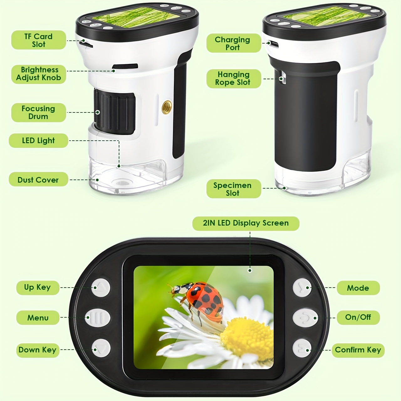 ชุดกล้องจุลทรรศน์สำหรับเด็ก ขย - Kids Educational Videos บทวิจารณ์และราคา