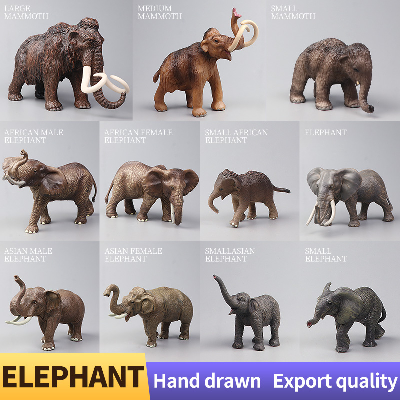 สัตว์ป่าแอฟริกัน ช้างมามมอธขนา - Kids Education Picture บทวิจารณ์และราคา